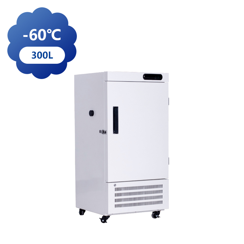 278 升大容量- 60 ℃超低温冰箱 工业科研 / 大型食材冷冻必备
